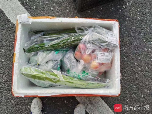 直擊荔灣白鶴洞街 一趟特別的食品配送車駛過馬路