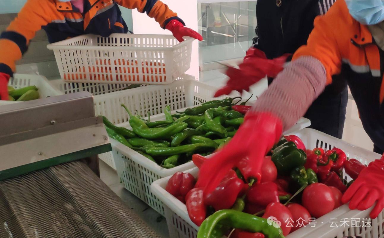 西安餐廳配送公司 專業生鮮蔬菜副食品供應與食品配送服務