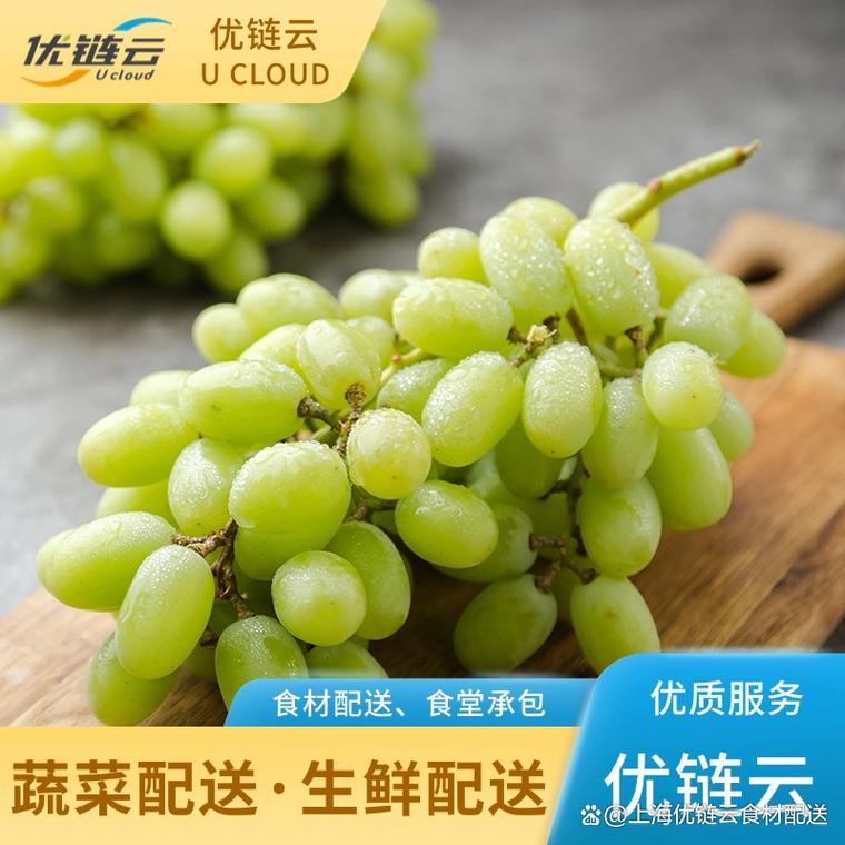 普陀生鮮食品配送 綠色健康，從源頭到餐桌的“鮮”行保障